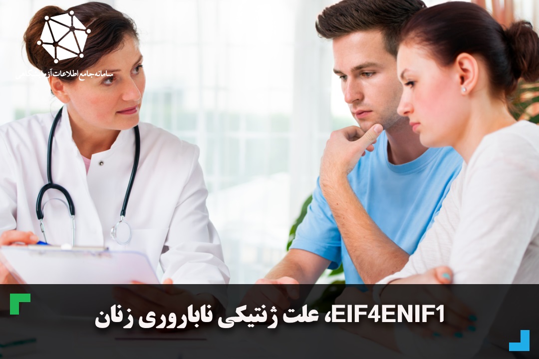 Eif4enif1، علت ژنتیکی ناباروری زنان