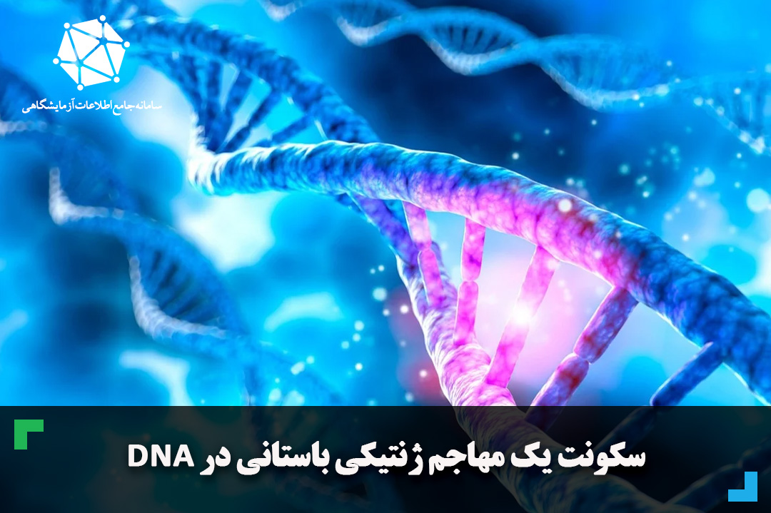 سکونت یک مهاجم ژنتیکی باستانی در DNA